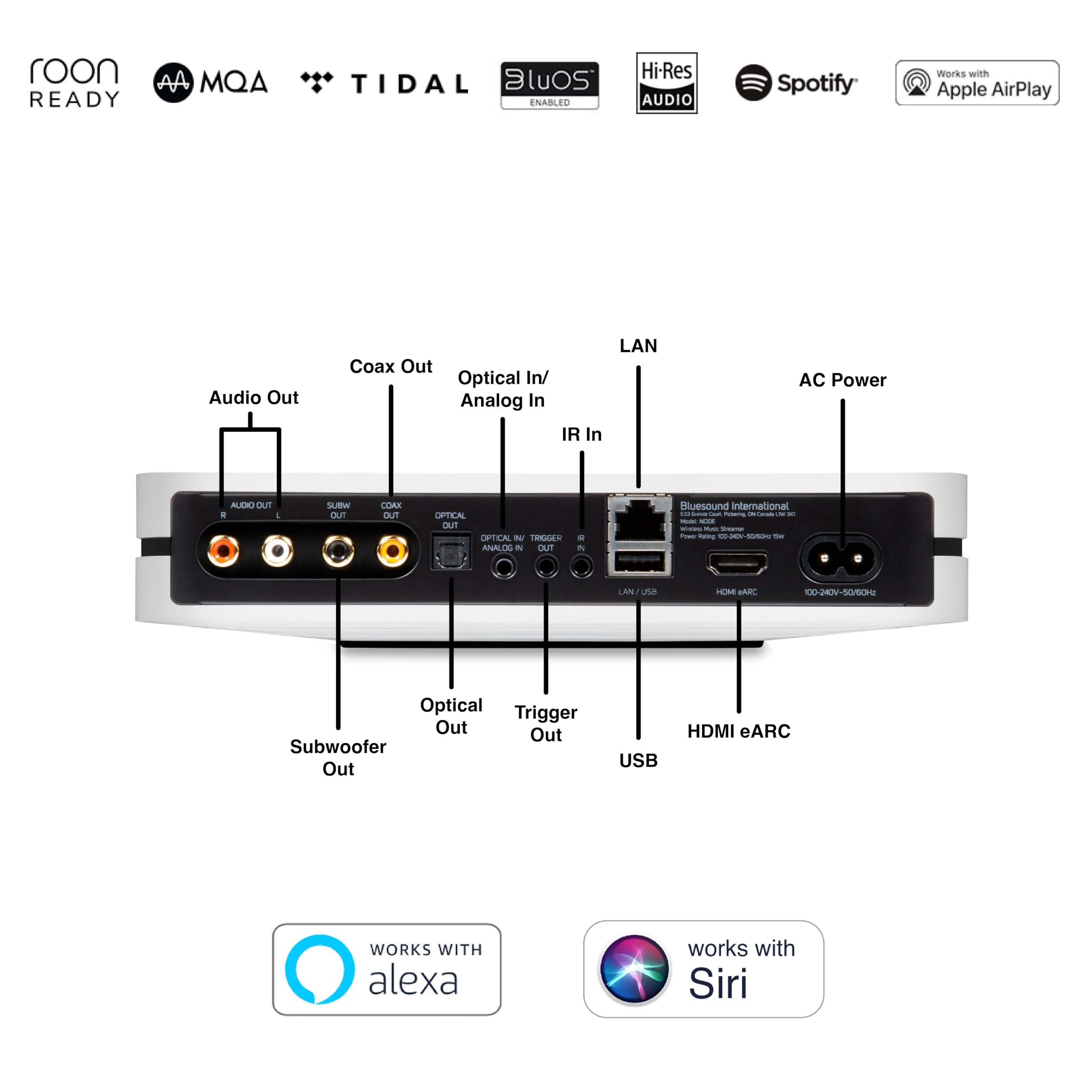 Bluesound Node